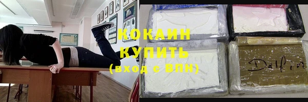 соль ск Алзамай