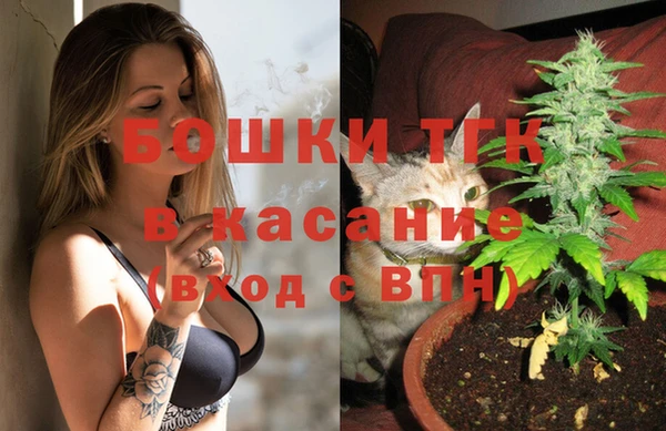 соль ск Алзамай