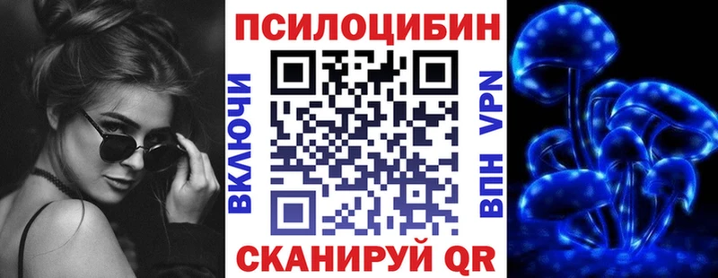 купить  сайты  Кизел  Псилоцибиновые грибы мицелий 